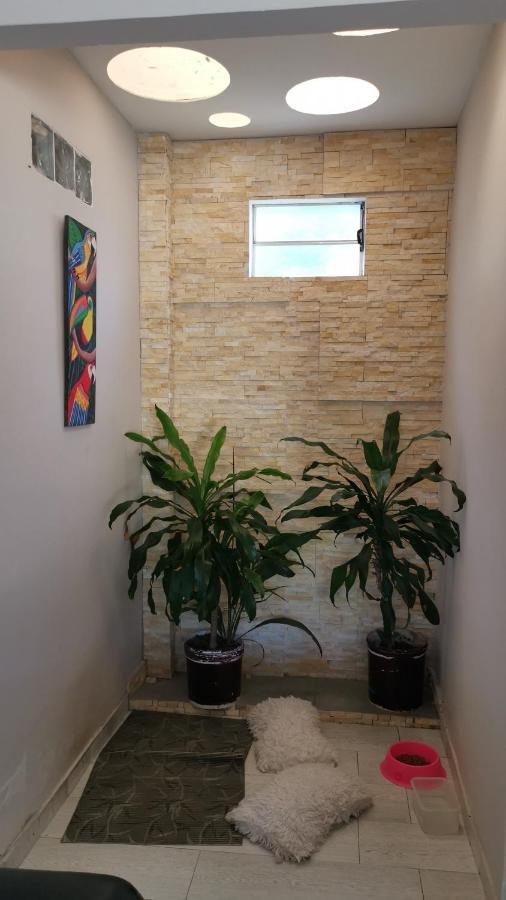 Casa Amazilia Hotel Leticia Ngoại thất bức ảnh